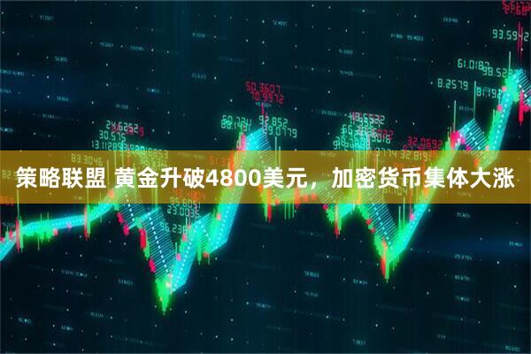 策略联盟 黄金升破4800美元，加密货币集体大涨