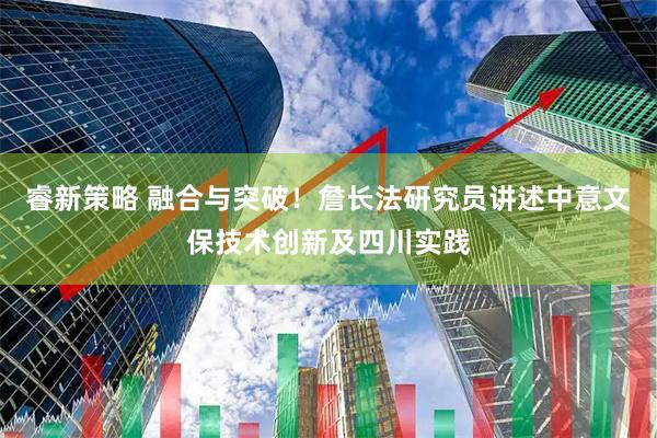 睿新策略 融合与突破！詹长法研究员讲述中意文保技术创新及四川实践