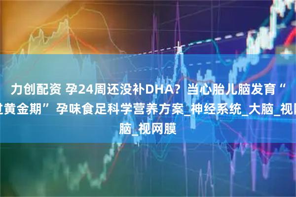 力创配资 孕24周还没补DHA？当心胎儿脑发育“错过黄金期” 孕味食足科学营养方案_神经系统_大脑_视网膜